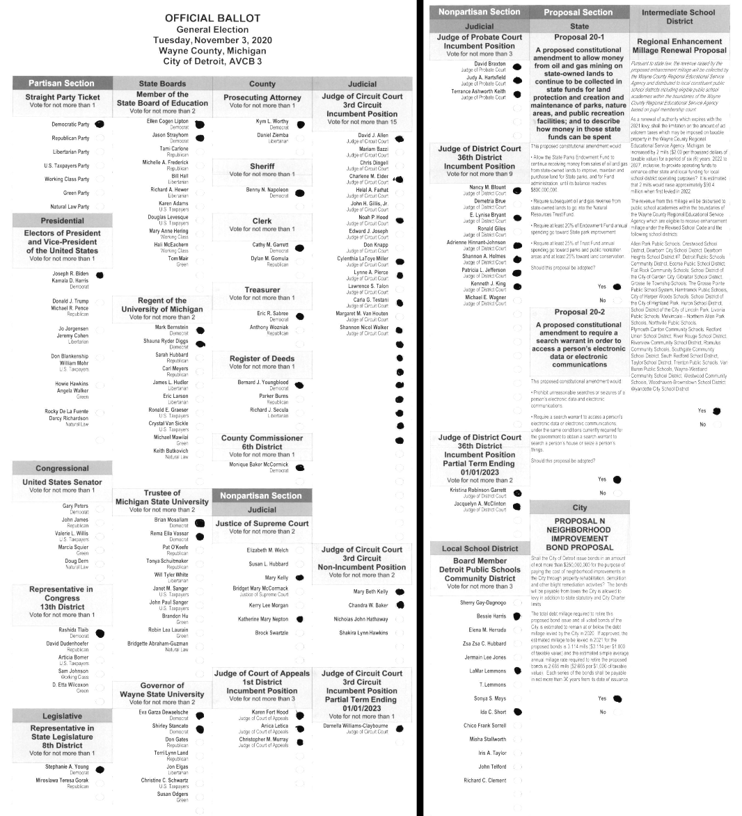 Primary-style BMD ballot example 1
